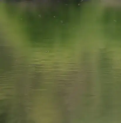 Riverfresh